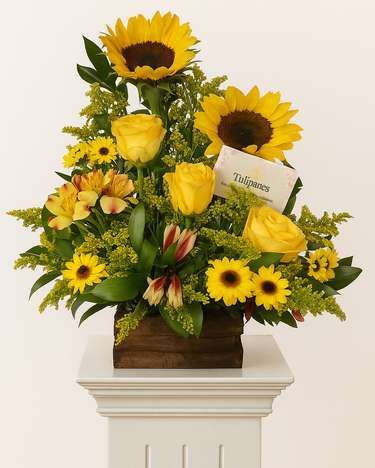 Sunflower